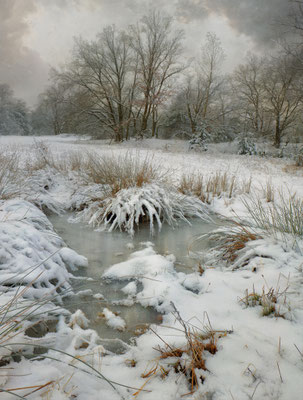 THE COLOURS OF WINTER I
