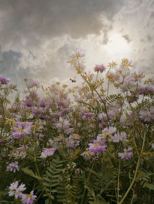 THE BUZZING SOUND OF SUMMER II