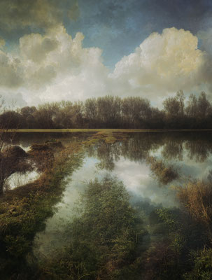 THE SINKING LAND