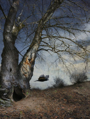 BLACK WINGED MESSENGER PART XIV
