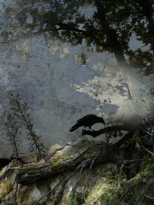 BLACK WINGED MESSENGER PART I