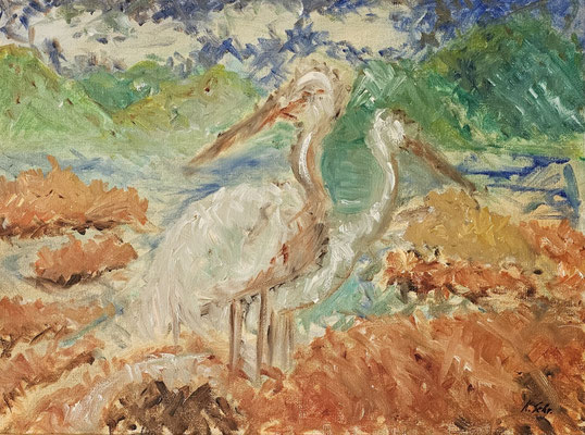B000246 Pelikane abstrakt 2020, 48 x 36 cm, Ölgemälde auf Papier, 126 €
