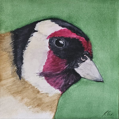 B000083 Distelfink - Porträt 2019, 25,4 x 25,4 cm, Aquarell auf Papier, 91 €