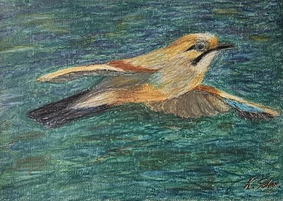 B000240 Fliegender Eichelhäher 2023, 27,5 x 20 cm, Ölpastell auf Papier, 142 €