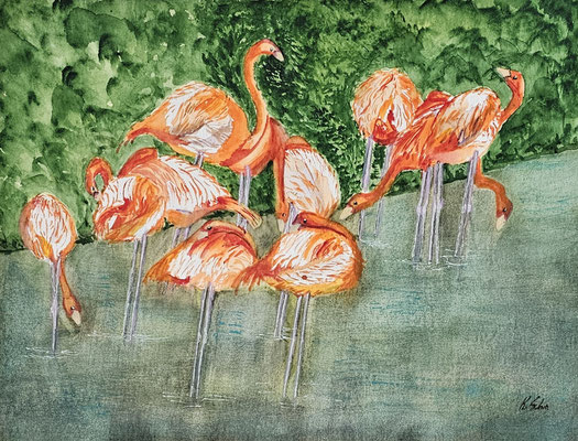 B000266 Flamingos 2023, 40 x 30 cm, Aquarell auf Papier, 210 €