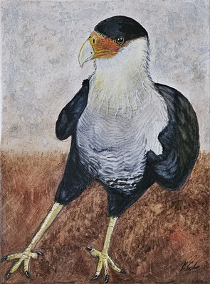 B000096 Karakara 2020, 30 x 40 cm, Aquarell auf Leinwand, 140 €
