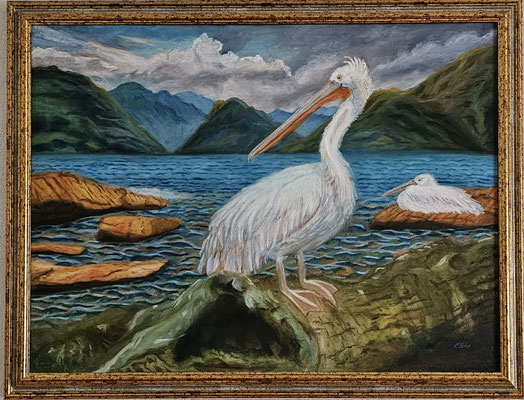 B000122 Krauskopfpelikane 2021, 80 x 60 cm, Ölgemälde auf Leinwand, unverkäuflich