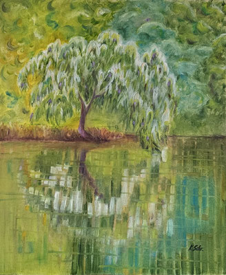 B000314 Spiegelnde Hängeweide 2024, 50 x 60 cm, Ölgemälde auf Malplatte, 412 €