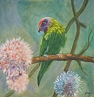 B000134 Veilchenlori 2022, 30 x 30 cm, Ölgemälde auf Malplatte, 225 €
