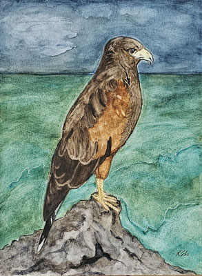 B000113 Wüstenfalke 2020, 24 x 32 cm, Aquarell auf Papier, 112 €