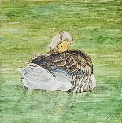 B000119 Graugans 2021, 30 x 30 cm, Aquarell auf Malplatte, 180 €