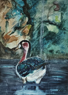 B000323 Rothalsgans 2025, 24 x 32 cm, Aquarell auf Papier, 168 €