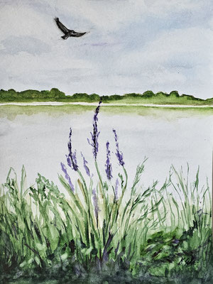B000280 Teichufer 2024, 30 x 40 cm, Aquarell auf Papier, 210 €