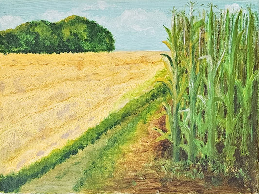 B000135 Am Maisfeld 2021, 40 x 30 cm, Acryl auf Leinwand, 210 €