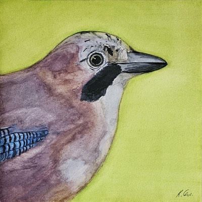 B000068 Eichelhäher - Porträt 2019, 25,4 x 25,4 cm, Aquarell auf Porträt, 91 €