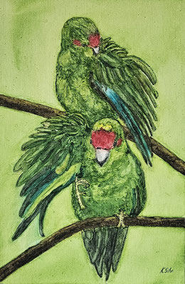 B000121 Gefiederpflege 2021, 20 x 30 cm, Aquarell auf Malpappe, unverkäuflich