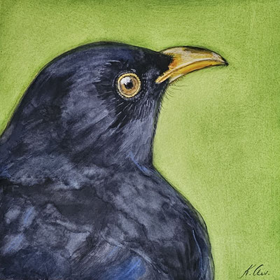 B000074 Amsel - Porträt 2019, 25,4 x 25,4 cm, Aquarell auf Papier, 91 €