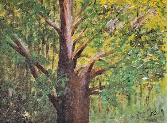 B000141 Blick zur Baumkrone 2022, 40 x 30 cm, Acryl auf Malpappe, 210 €