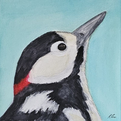 B000069 Europäischer Buntspecht - Porträt 2019, 25,4 x 25,4 cm, Aquarell auf Papier, 91 €