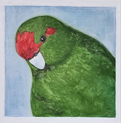 B000044 Ziegensittich-Henne "Leni" 2019, 30 x 30 cm, Aquarell auf Leinwand, unverkäuflich