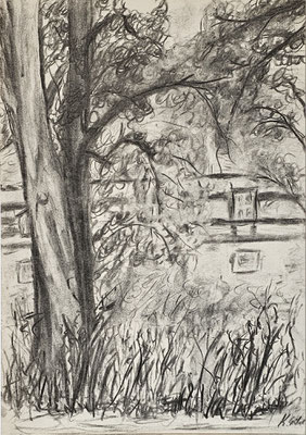 B000256 Baum im Schlosspark Jahnishausen 2022, 29,7 x 42 cm, Kohle auf Papier, 64 €
