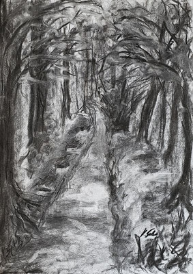 B000232 Schlossparkallee mit Bänken, 30 x 42 cm, Kohle auf Papier, 64 €