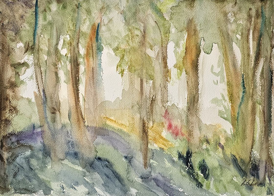 B000180 Trügerischer Schein 2023, 36 x 26 cm, Aquarell auf Papier, 232 €