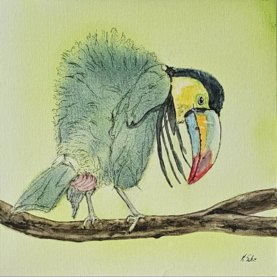 B000111 Fischertukan 2020, 30 x 30 cm, Aquarell/Kohle auf Malpappe, 120 €