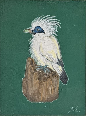 B000033 Balistar 2018, 18 x 24 cm, Ölpastell auf grüner Malplatte, 75 €