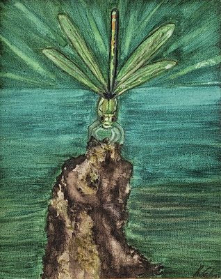 B000066 Libelle am Teich 2019, 21,5 x 27 cm, Aquarell auf Maltuch, 87 €