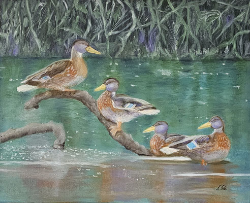 B000174 Enten auf dem Teich 2023, 50 x 40 cm, Ölgemälde auf Leinwand, 337 €