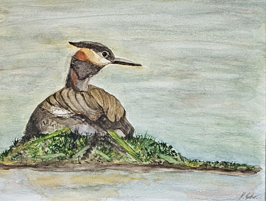 B000152 Haubentaucher 2022, 32 x 24 cm, Aquarell auf Papier, 168 €