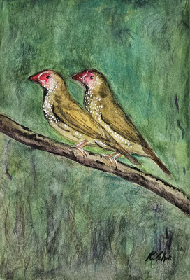 B000271 Binsenastrilde 2023, 17 x 24 cm, Aquarell auf Papier, 123 €