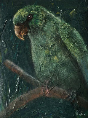B000211 Grüner Papagei 2019, 18 x 24 cm, Pastell und strukturierer Acryl-Untergrund auf Maltuch, 75 €