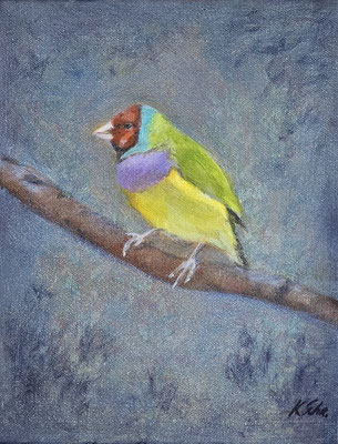 B000166 Gouldamadine 2023, 24 x 30 cm, Ölgemälde auf Leinwand, 202 €