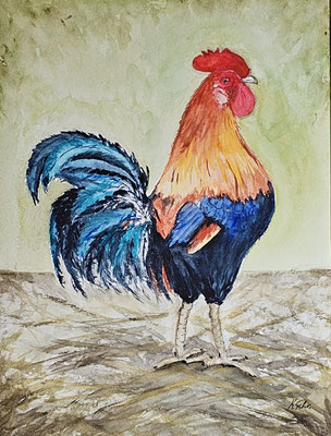 B000154 Bankiva-Huhn 2022, 30 x 40 cm, Aquarell auf Papier, 210 €