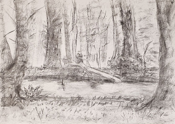 B000155 An der Jahna 2021, 42 x 29,7 cm, Kohle auf Papier, 64 €