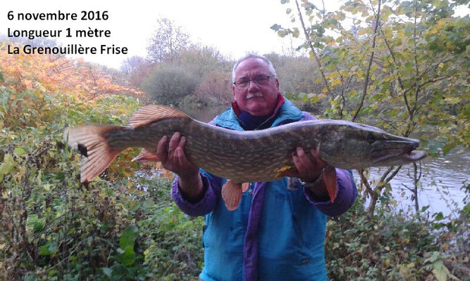 Très beau brochet Domaine de la Grenouillère Frise Camping pêche Somme