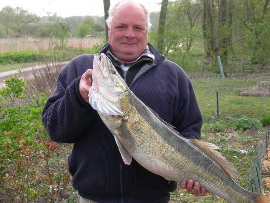 Une belle prise à la Grenouillère Frise camping pêche Somme
