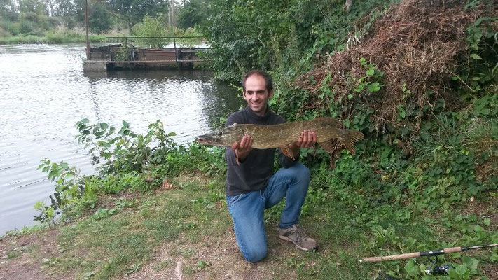 Brochet de 93 cm Domaine de la Grenouillère Frise Camping pêche Somme