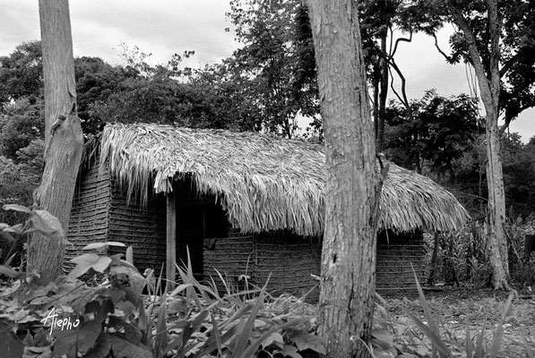 Mimetismo. Casa de autoconstrucción hecha al estilo de la vivienda social gubernamental. Güiria, Venezuela