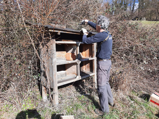 Renovierung des Wildbienenstandes an der Spielburg, Bild: NABU