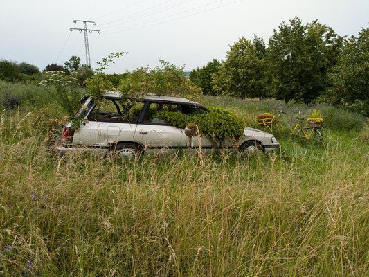 Foto: Rainer Schurr