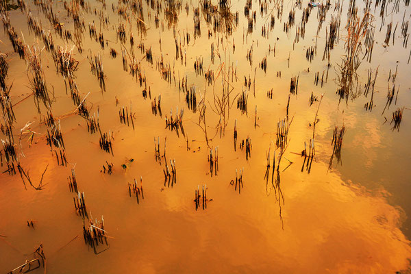 Cimaja, Java, Indonesia, 2014