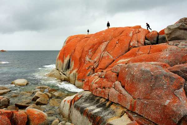 Bay of Fire, Tasmania, Australia, 2014