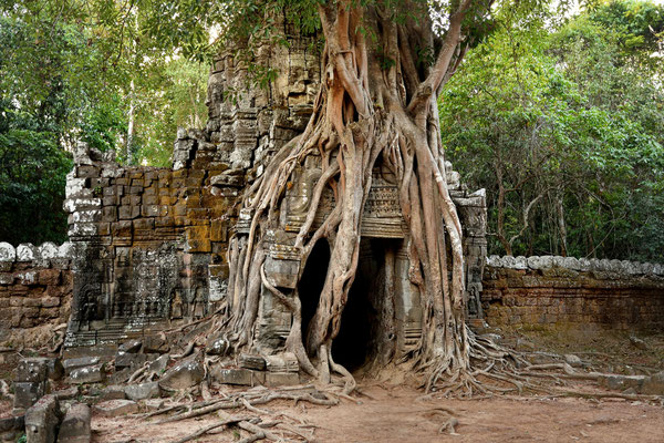 Ta Som Temple