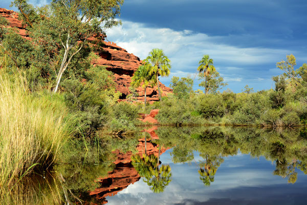 Palm Valley, Finke Gorge National Park, Australia, 2014