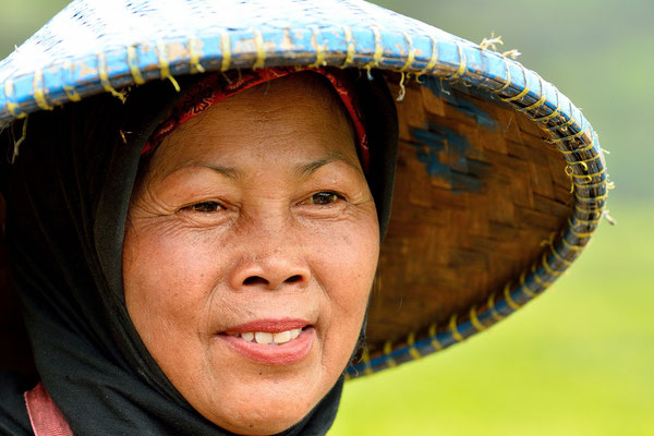 Ciwidey, Java, Indonesia, 2014