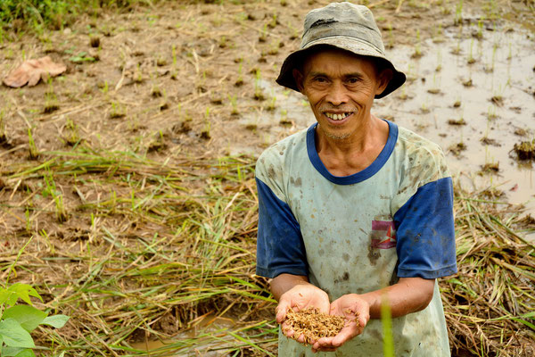 Bogor, Java, Indonesia, 2014