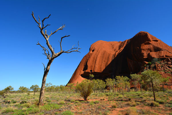 Uluru, Australia, 2014